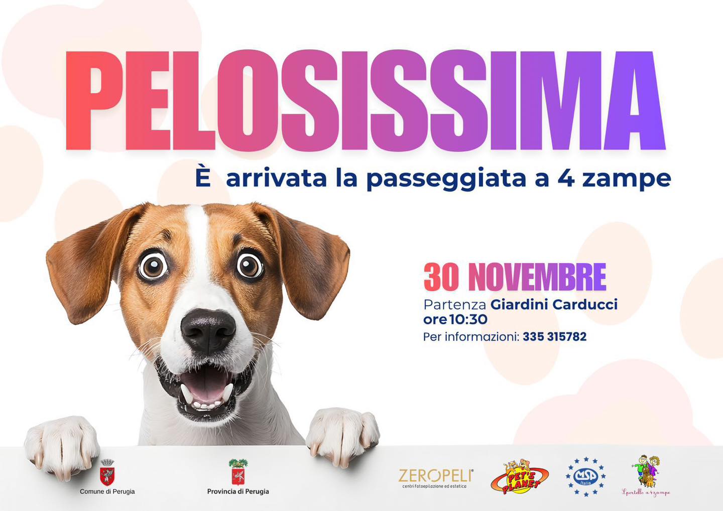 poster pelosissima 2025